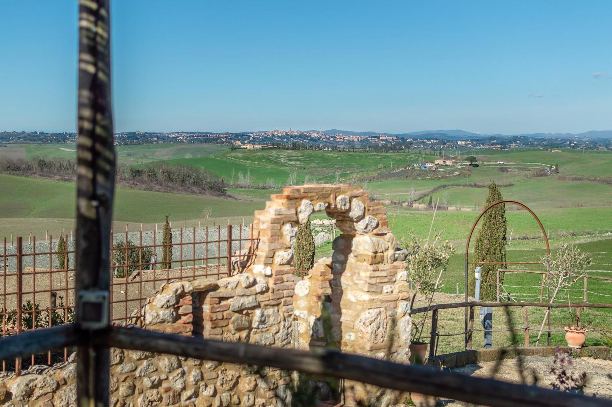 Sunflower Con Vista Su Siena Villa Corsano  Dış mekan fotoğraf